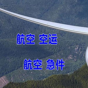 岳阳三荷航空快运快递-选东方航空和上海航空
