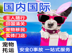 岳阳三荷航空快运国际宠物托运 【国